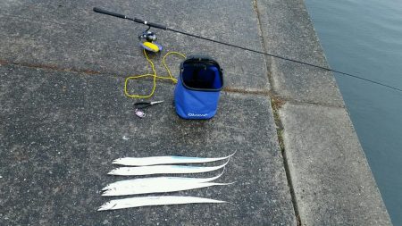 雨後は若干状況の変化あり。でも時合に5匹ゲ…